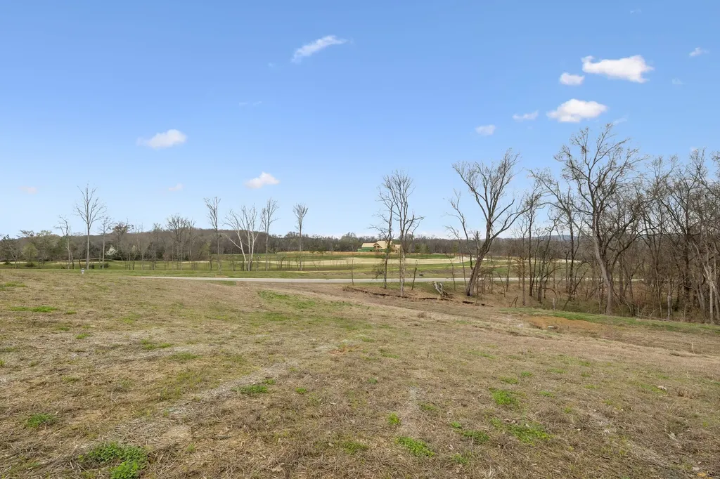 8410 Six String Drive College Grove TN 37046