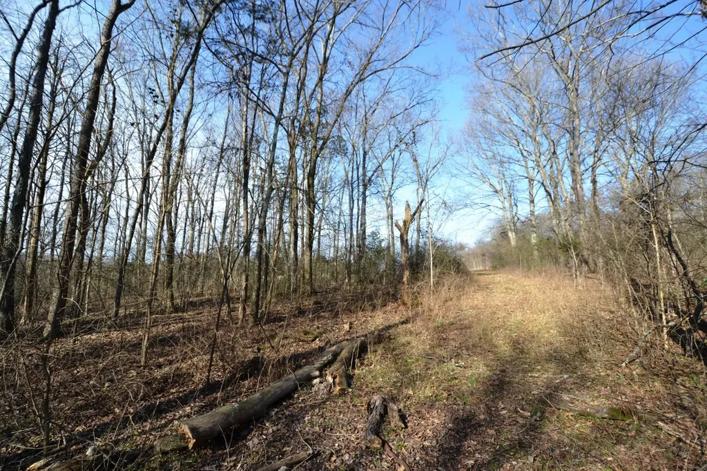 1 Corinth Road Mount Juliet TN 37122