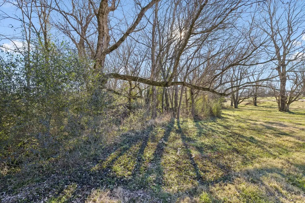 0 Buck Matthews Road Columbia TN 38401