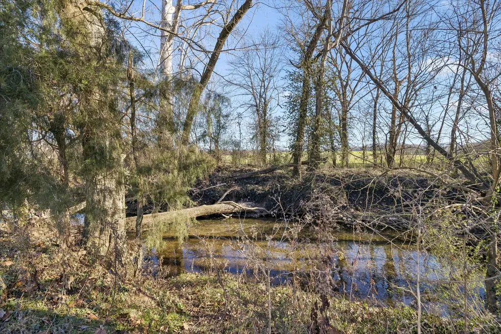 0 Buck Matthews Road Columbia TN 38401
