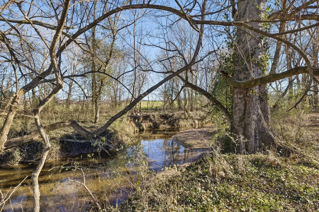 0 Buck Matthews Road Columbia TN 38401