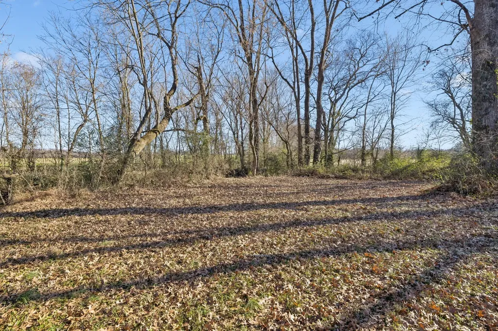 0 Buck Matthews Road Columbia TN 38401
