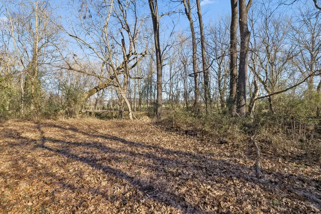 0 Buck Matthews Road Columbia TN 38401