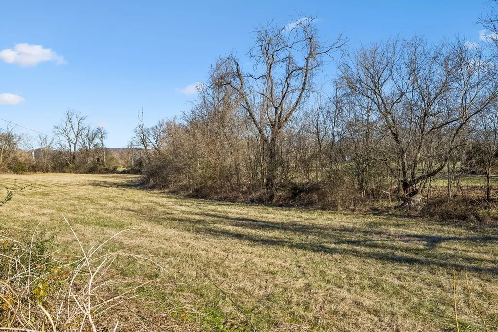 0 Buck Matthews Road Columbia TN 38401
