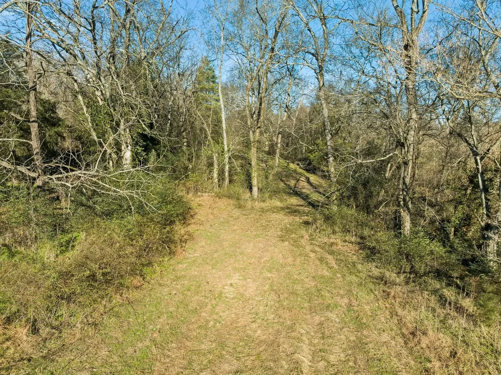 0 Buck Matthews Road Columbia TN 38401