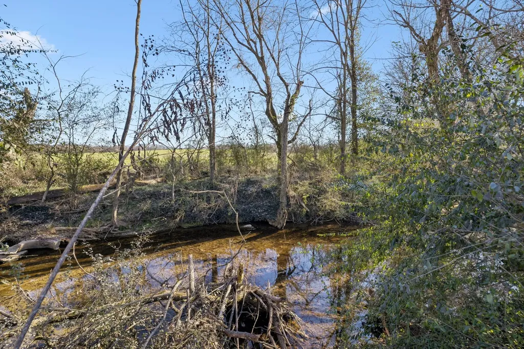 0 Buck Matthews Road Columbia TN 38401