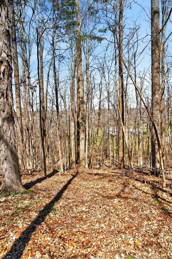1967 Highway 52 E Portland TN 37148