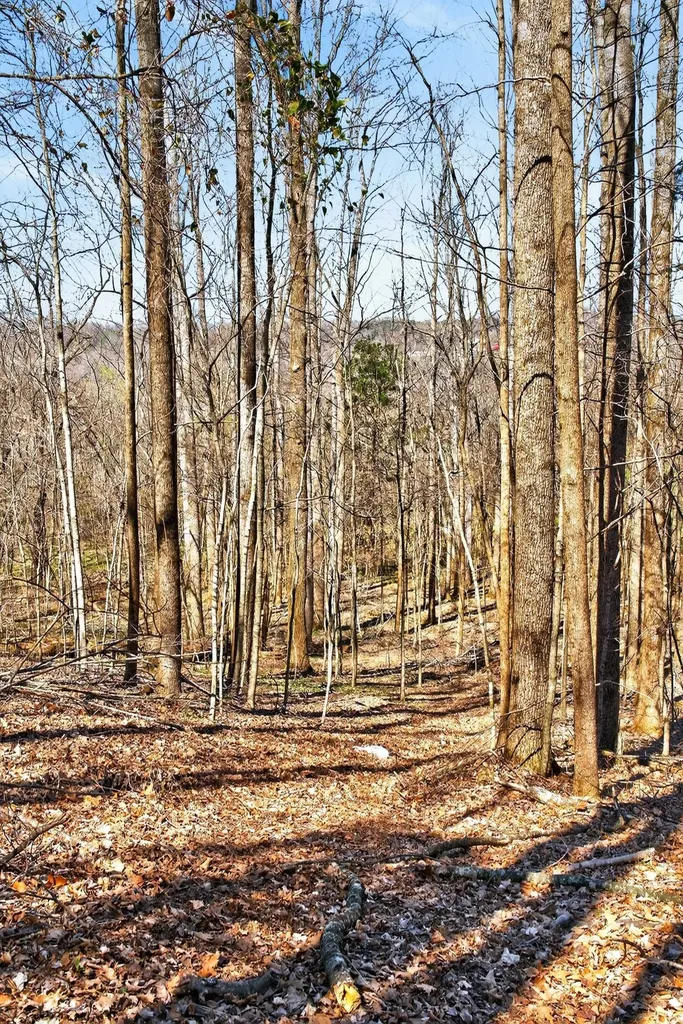 1967 Highway 52 E Portland TN 37148