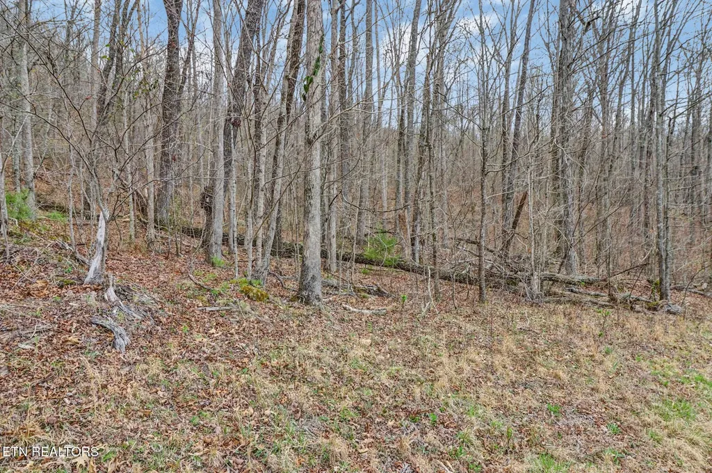 0 Choctaw Jamestown TN 38556