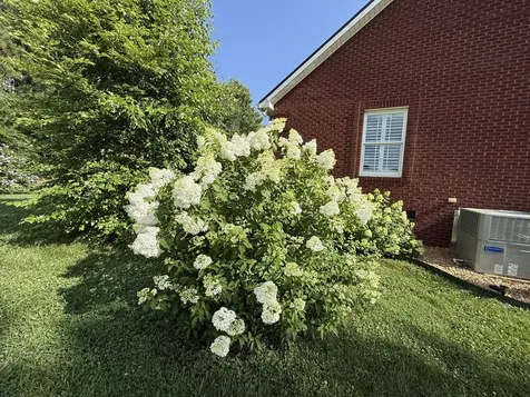 646 Indian Creek Road Huntland TN 37345