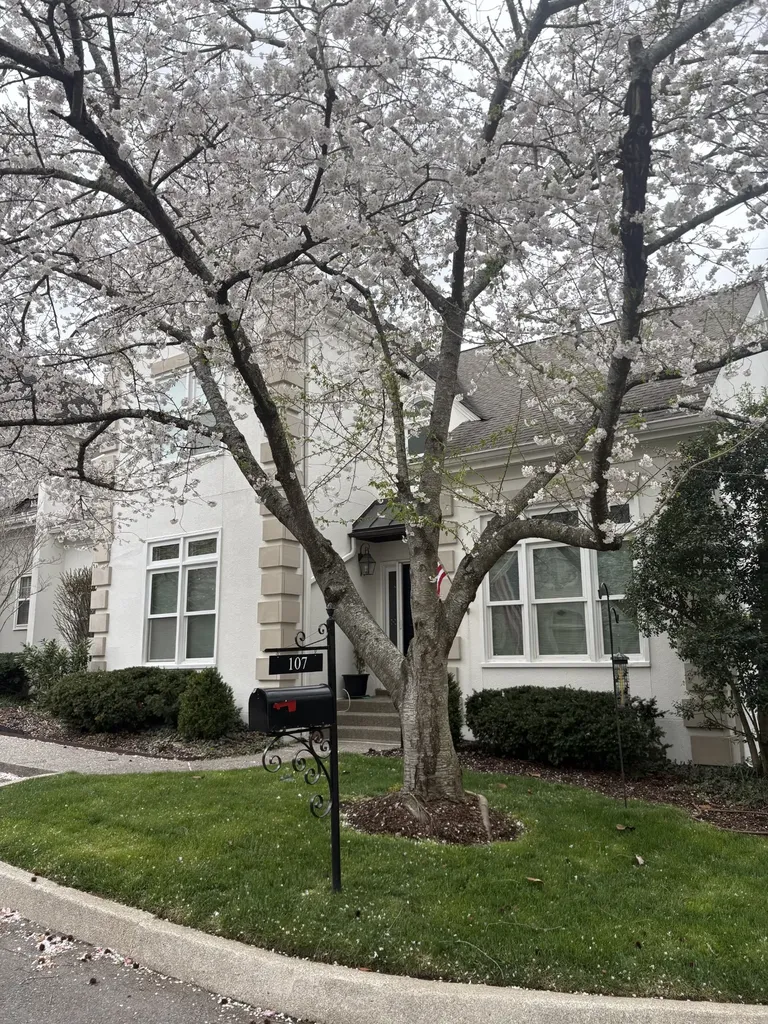 107 Brighton Close Nashville TN 37205