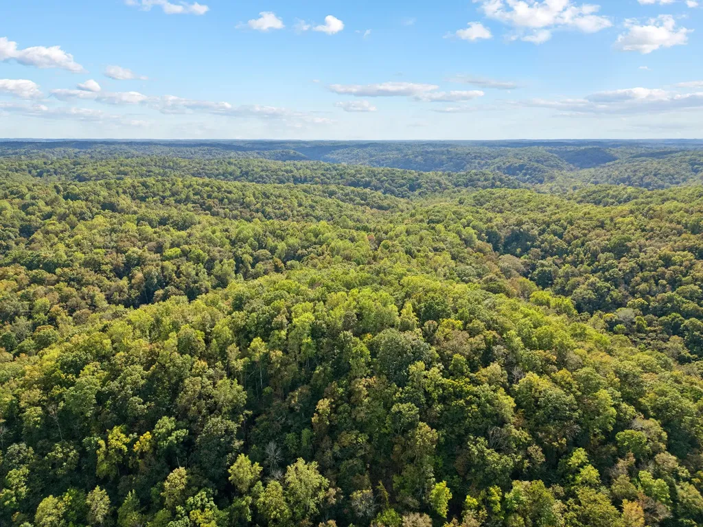 4073 New Highway 96, W Franklin TN 37064