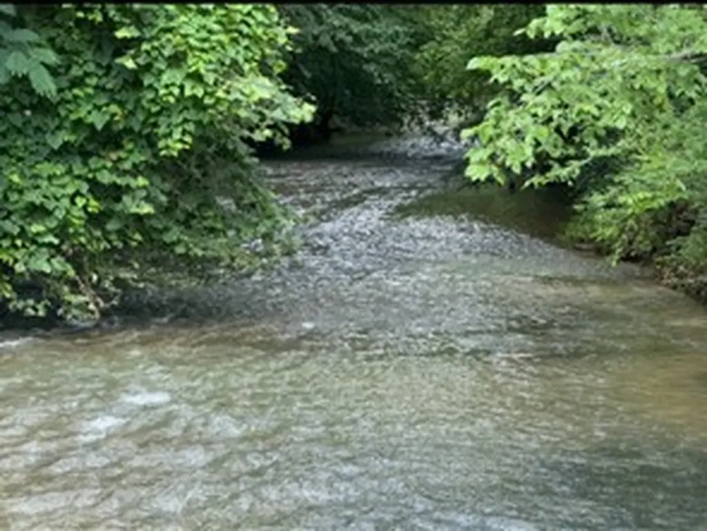 4073 New Highway 96, W Franklin TN 37064