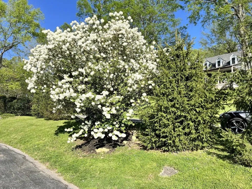 204 Hogan Lane Columbia TN 38401