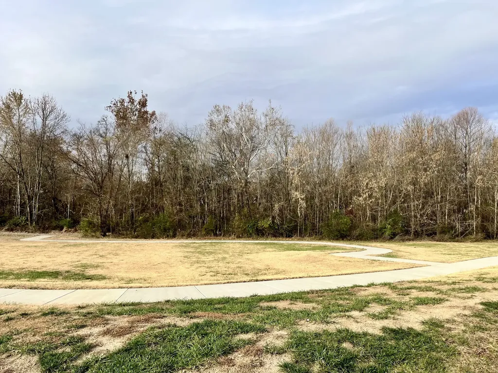 203B Folsom Pass Spring Hill TN 37174