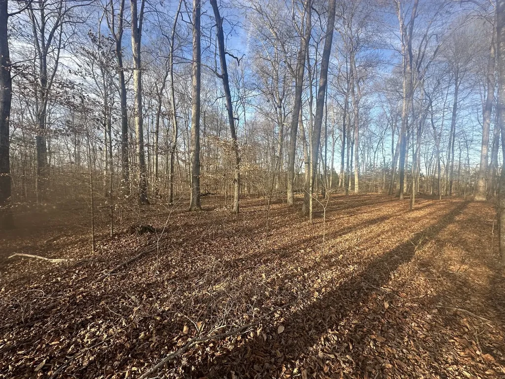 0 Arnold Thomas Road Silver Point TN 38582