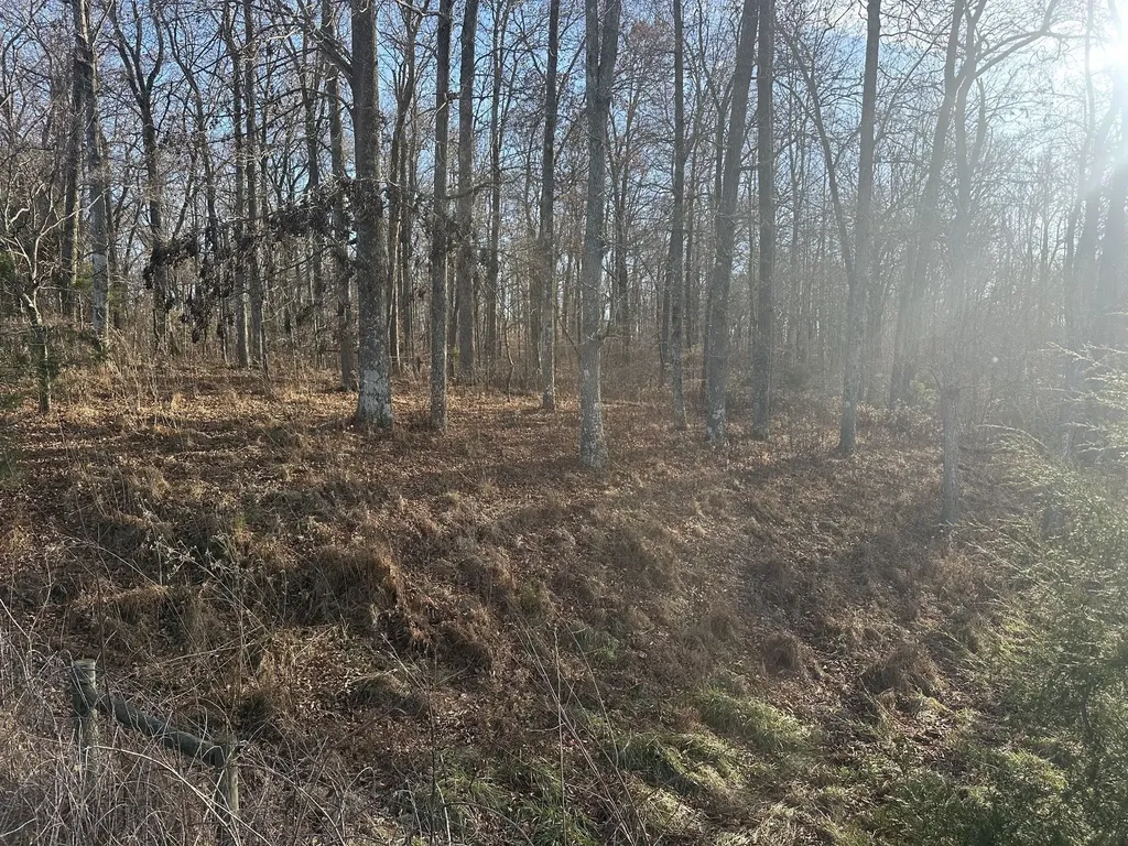 0 Arnold Thomas Road Silver Point TN 38582