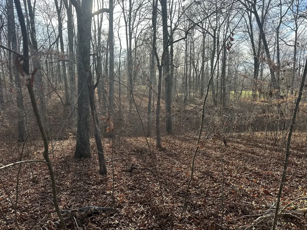 0 Arnold Thomas Road Silver Point TN 38582
