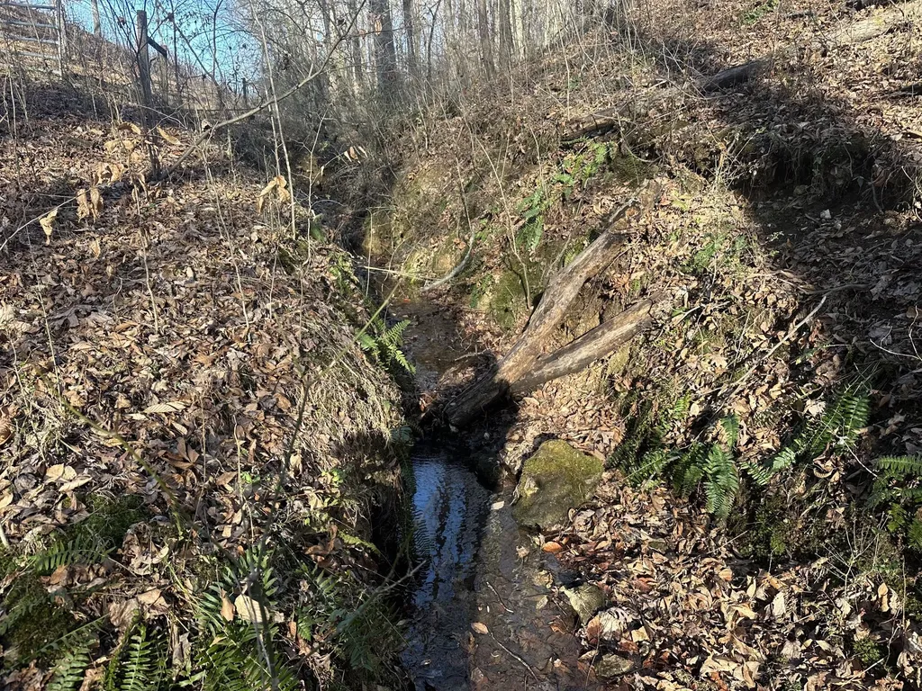 0 Arnold Thomas Road Silver Point TN 38582