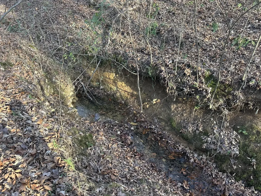 0 Arnold Thomas Road Silver Point TN 38582