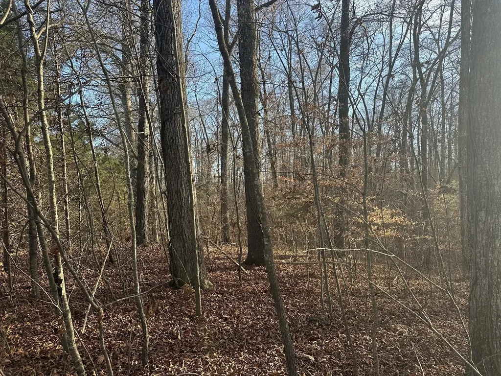 0 Arnold Thomas Road Silver Point TN 38582