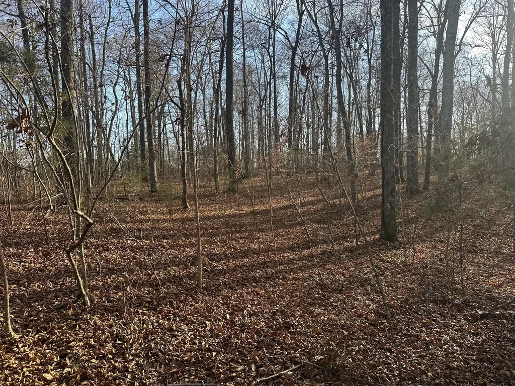 0 Arnold Thomas Road Silver Point TN 38582