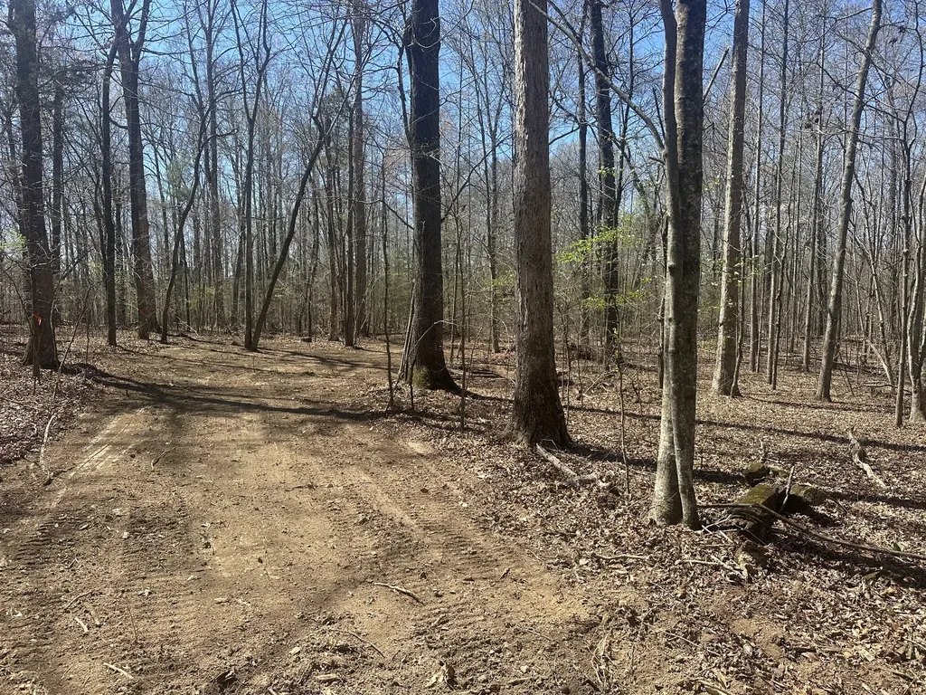 0 Arnold Thomas Road Silver Point TN 38582