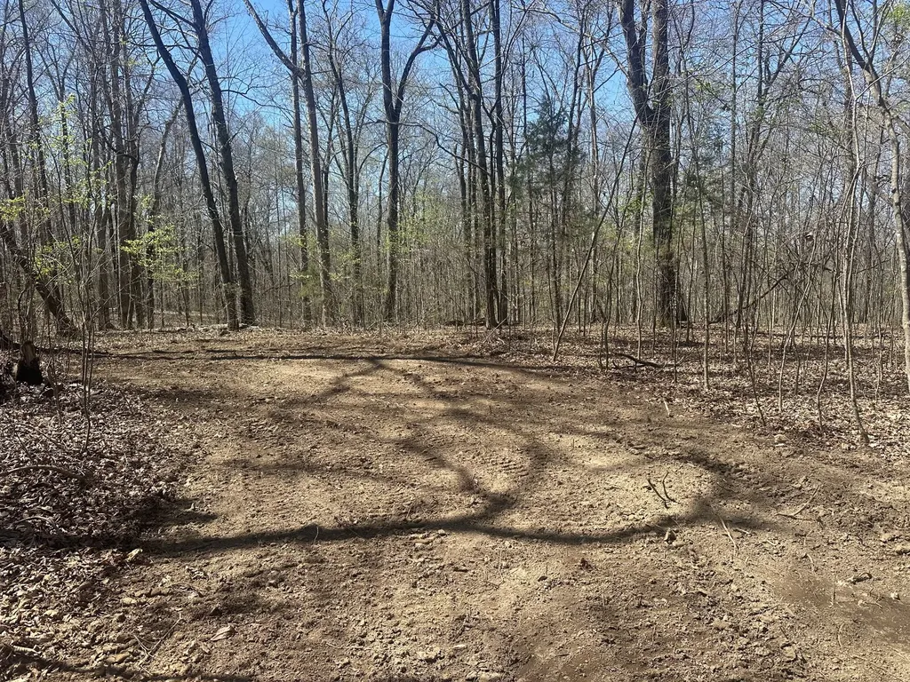 0 Arnold Thomas Road Silver Point TN 38582