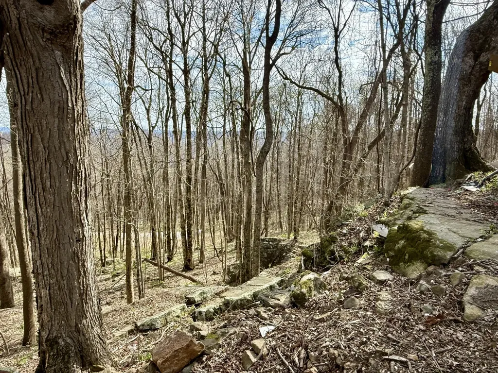 3174 Gap Road Altamont TN 37301