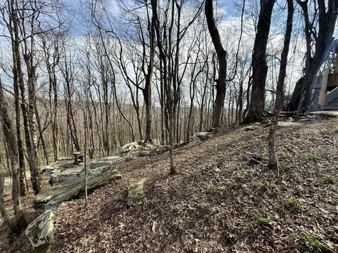 3174 Gap Road Altamont TN 37301