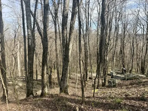 3174 Gap Road Altamont TN 37301