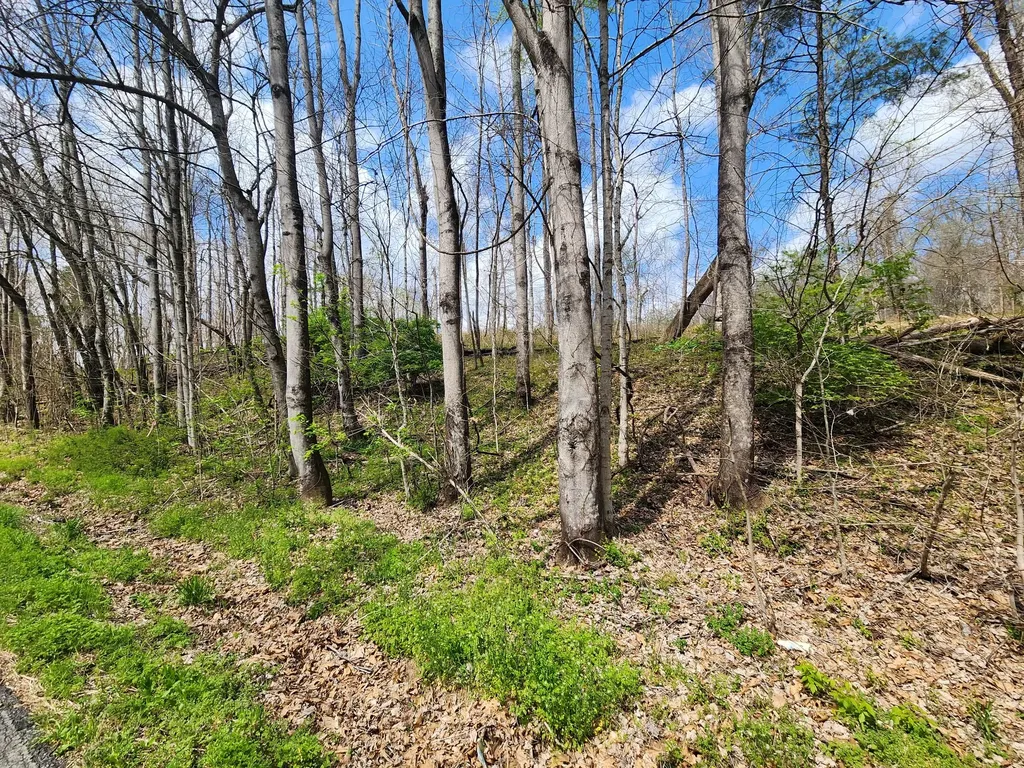 0 Gossett Road Ashland City TN 37015