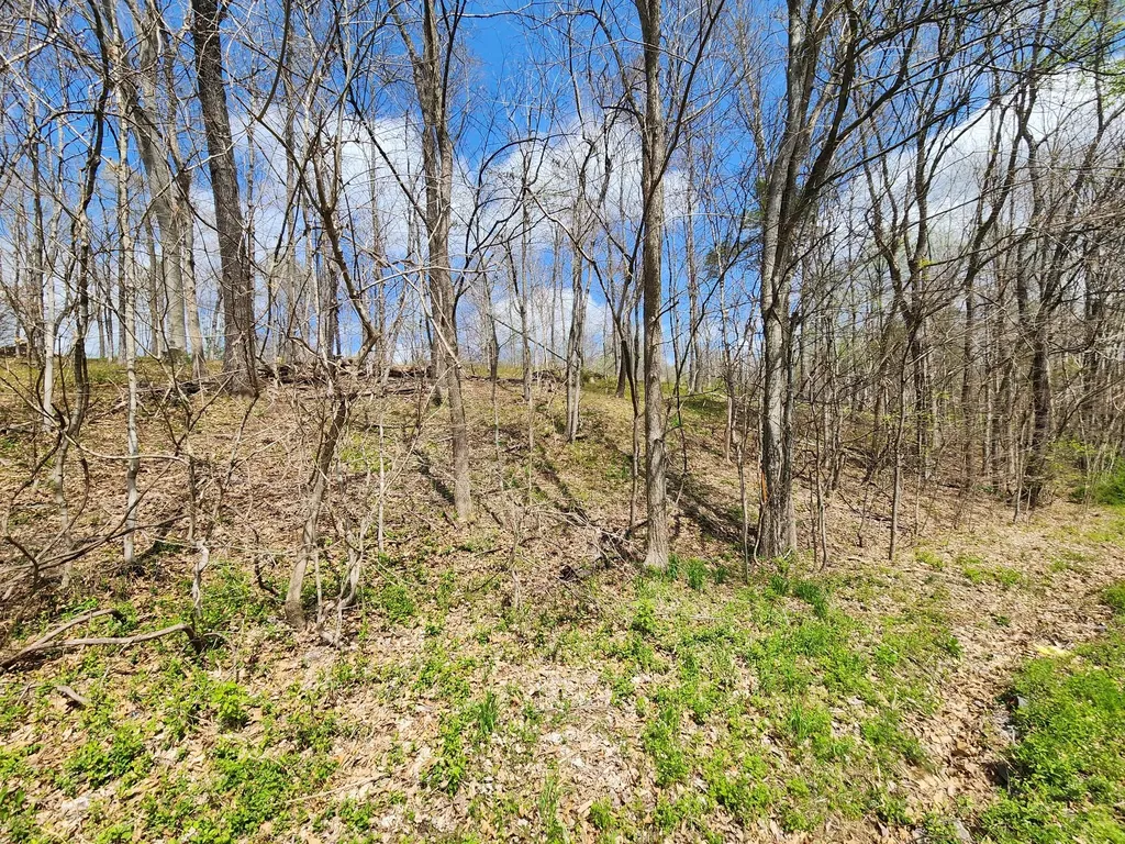 0 Gossett Road Ashland City TN 37015