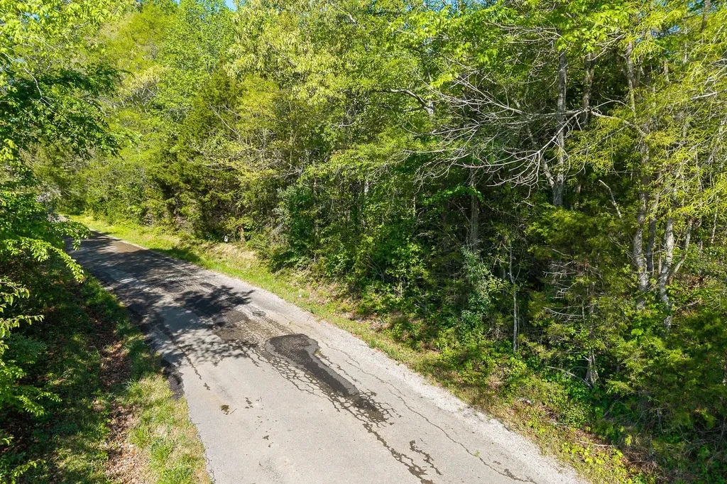 0 Gath Lucky Road Mc Minnville TN 37110
