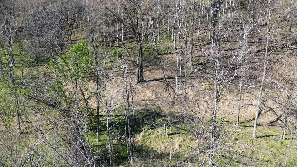 0 Blackberry Ridge Way Smithville TN 37166