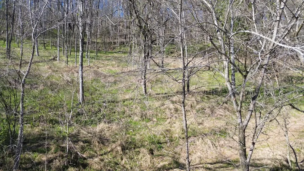 0 Blackberry Ridge Way Smithville TN 37166