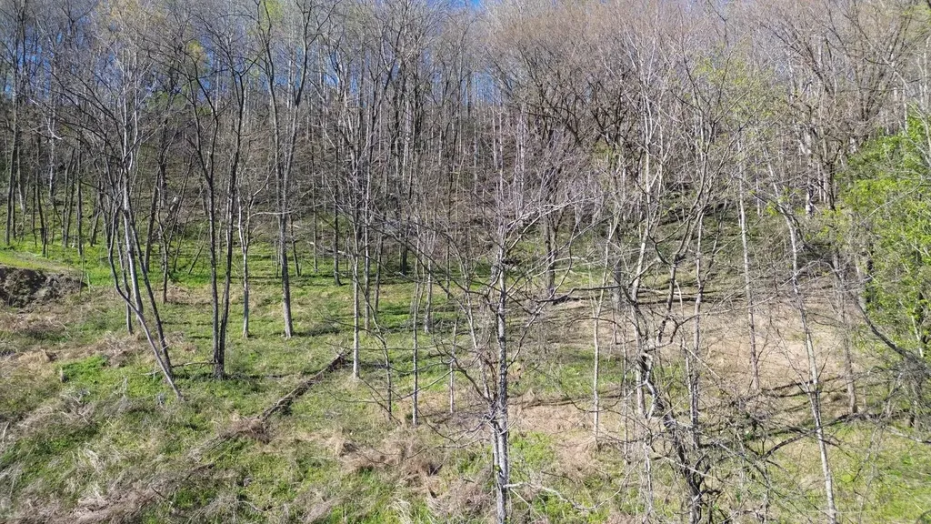 0 Blackberry Ridge Way Smithville TN 37166