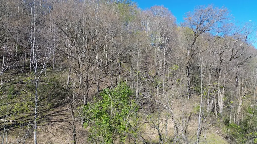 0 Blackberry Ridge Way Smithville TN 37166