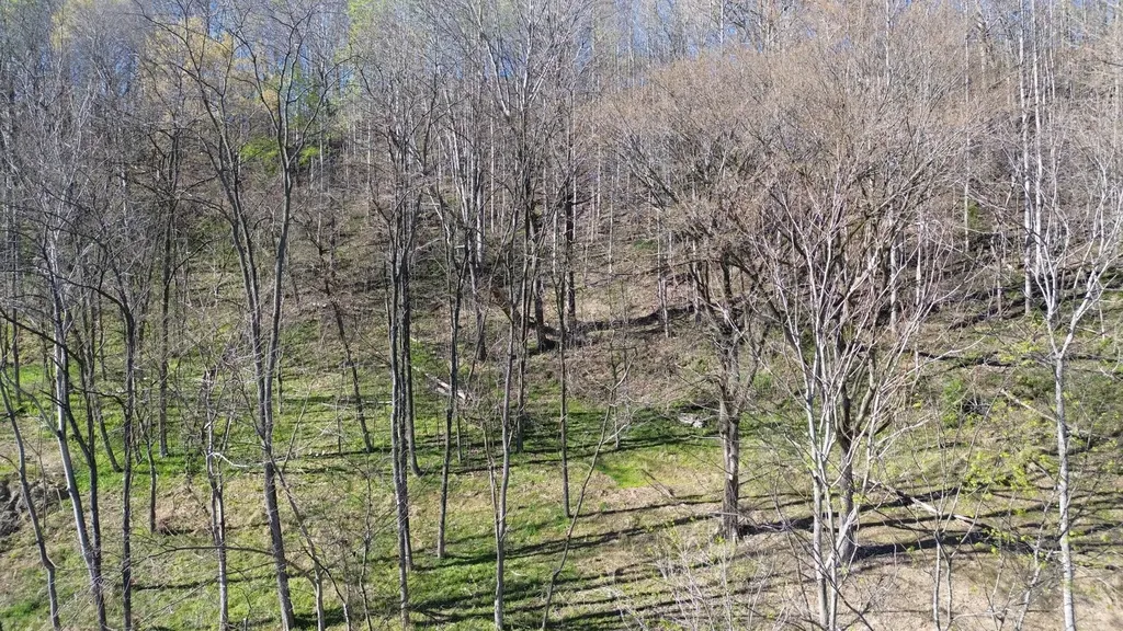 0 Blackberry Ridge Way Smithville TN 37166