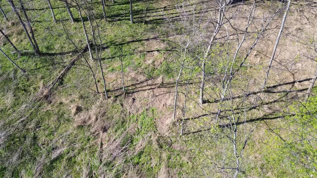 0 Blackberry Ridge Way Smithville TN 37166