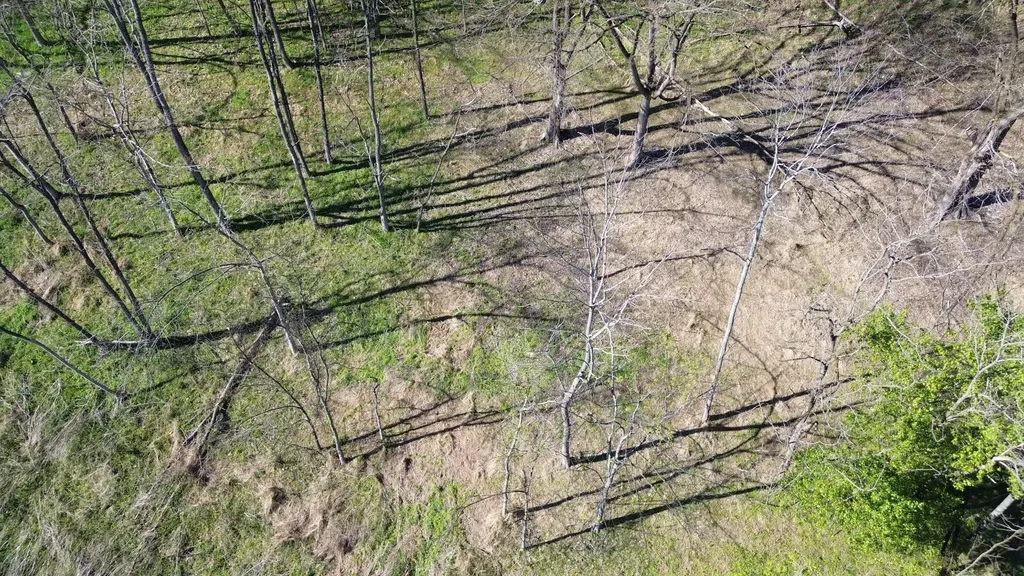 0 Blackberry Ridge Way Smithville TN 37166