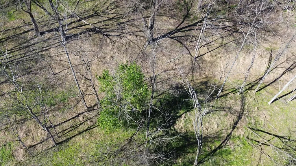 0 Blackberry Ridge Way Smithville TN 37166