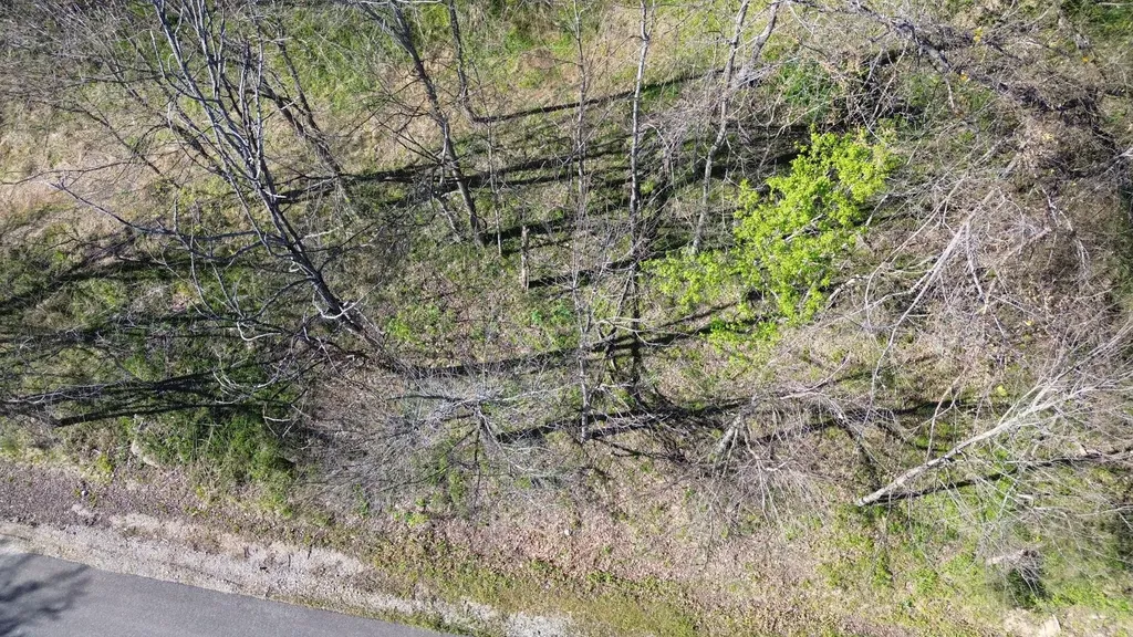 0 Blackberry Ridge Way Smithville TN 37166