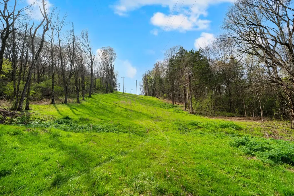 0 Shelbyville Highway Fayetteville TN 37334