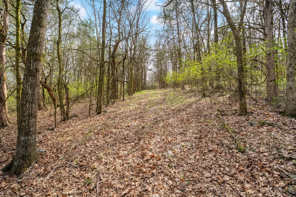 0 Shelbyville Highway Fayetteville TN 37334