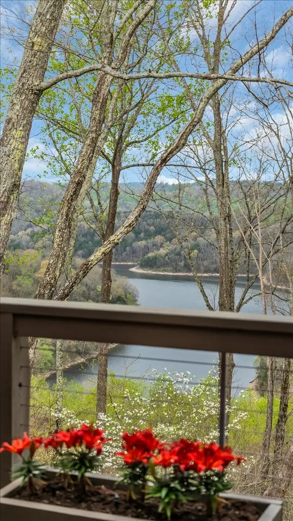 8581 Silver View Lane Silver Point TN 38582