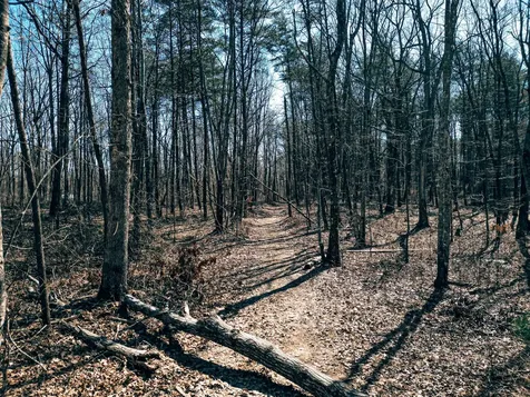 73 Twilight Point Monteagle TN 37356