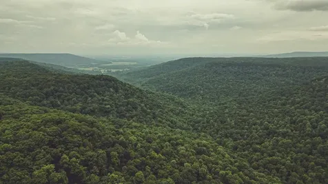 73 Twilight Point Monteagle TN 37356
