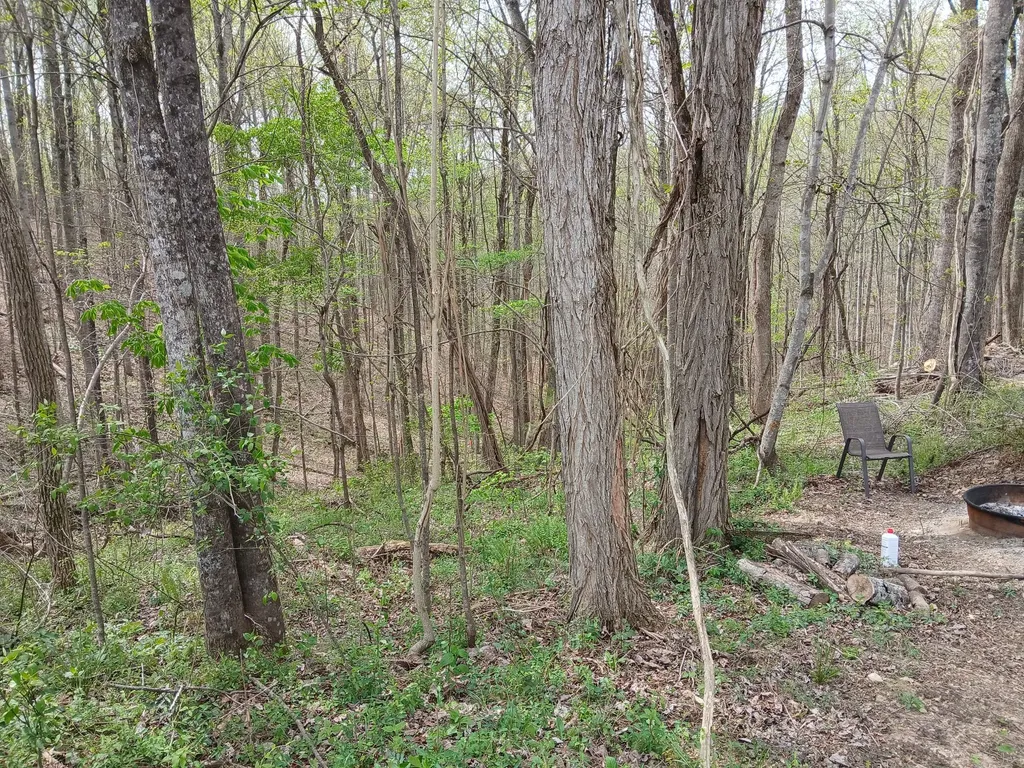 1399 Adamson Branch Road Liberty TN 37095