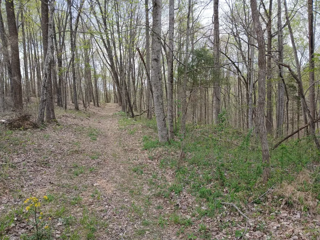 1399 Adamson Branch Road Liberty TN 37095